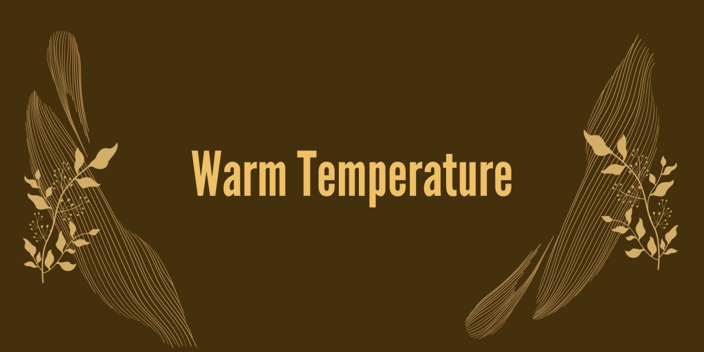 Jangan Asal Bikin Konten! Perhatikan Juga Lead Temperature! - Ourtale Blog