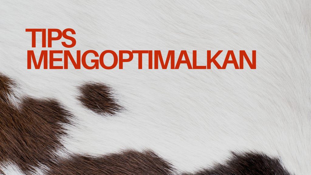 Media Penyebaran: Metode dan Trik Pemasaran Terbaik - Ourtale Blog