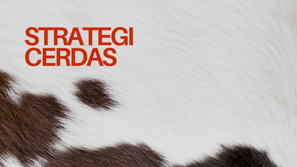 Media Penyebaran: Metode dan Trik Pemasaran Terbaik - Ourtale Blog